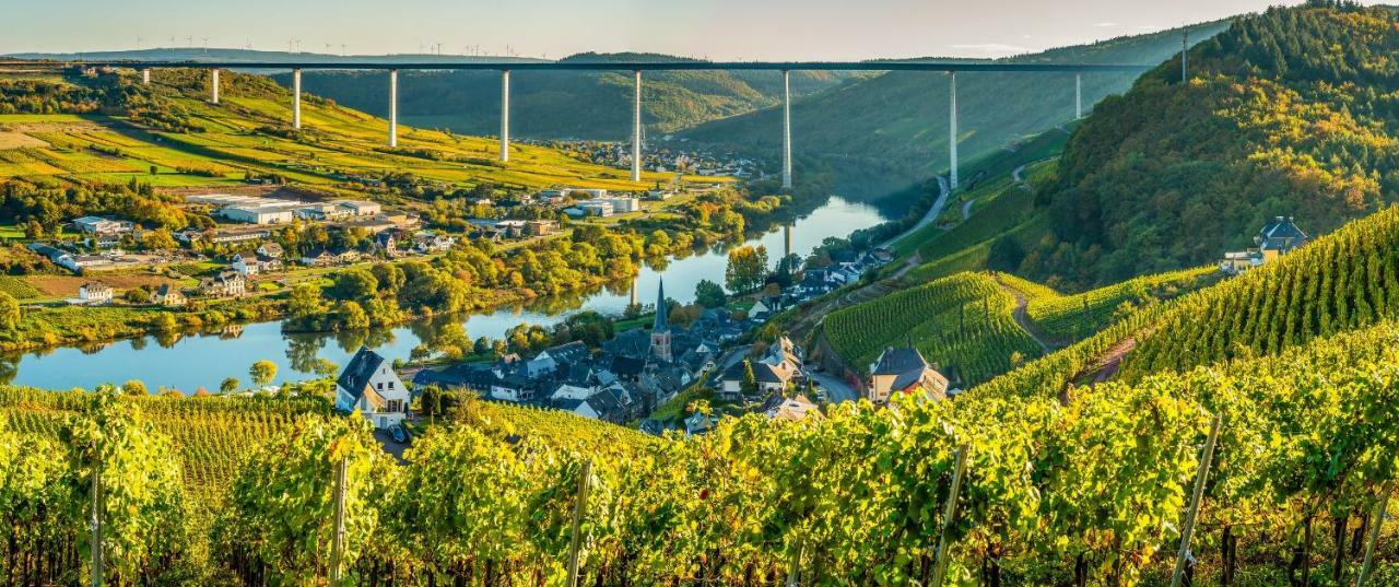 Ferienhaus Am Moselsteig Ürzig Zewnętrze zdjęcie